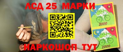 винт Будённовск