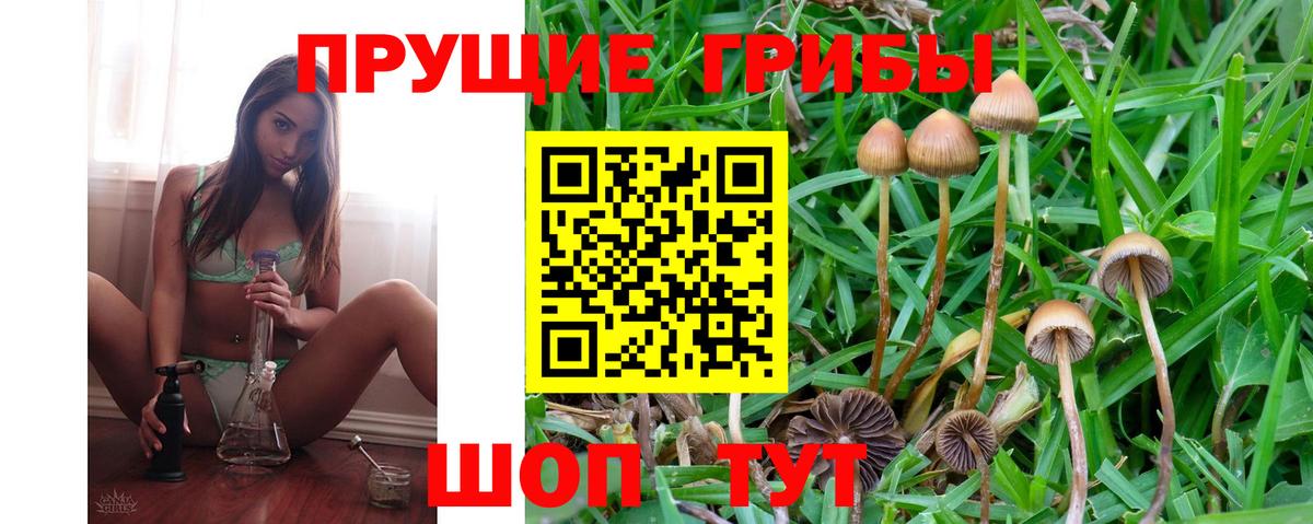 Псилоцибиновые грибы ЛСД Курган