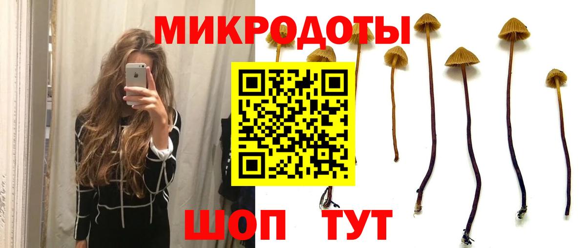 Псилоцибиновые грибы Psilocybe  Вход с VPN  Курган 